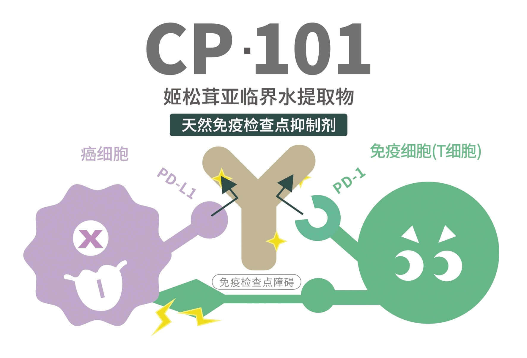 💪 辅助抗癌 · 增强体力