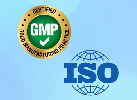 GMP + ISO 双重认证保障