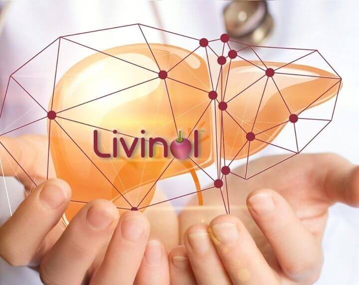 🛡️ 特许成分 Livinol™(专利号:5980228)(CP-101肝源力)