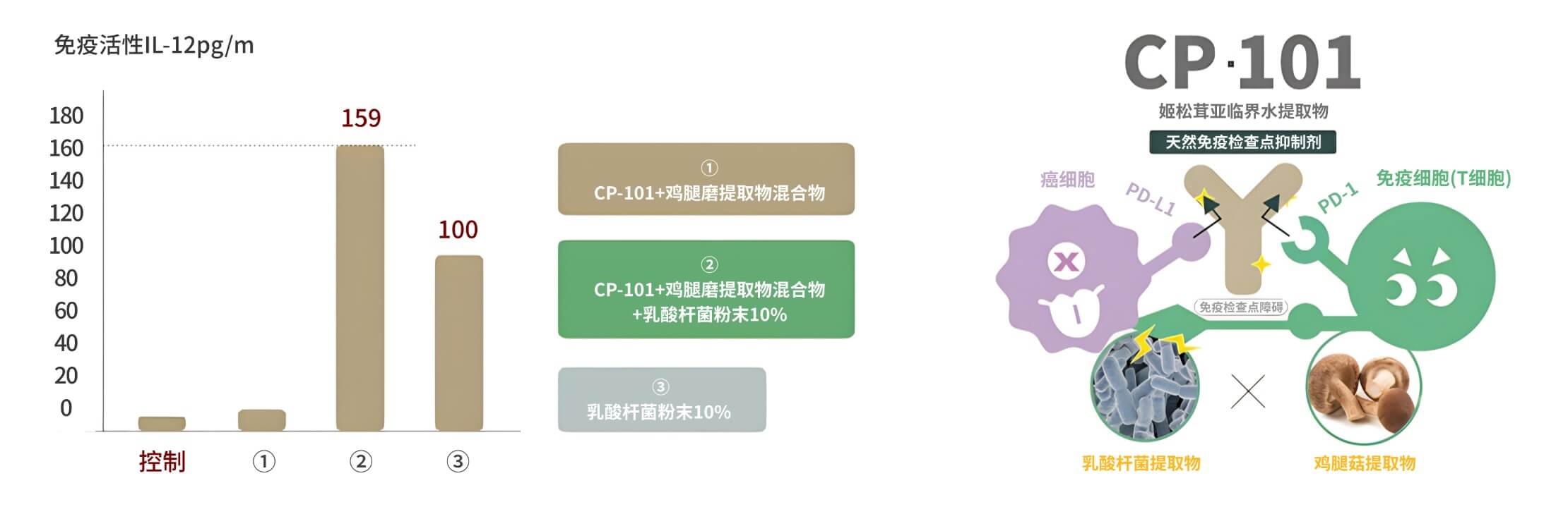 🔄 三重免疫协同机制(CP-101 蘑菇精)